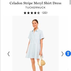 NWT Tuckernuck Stripe Shirt Dress